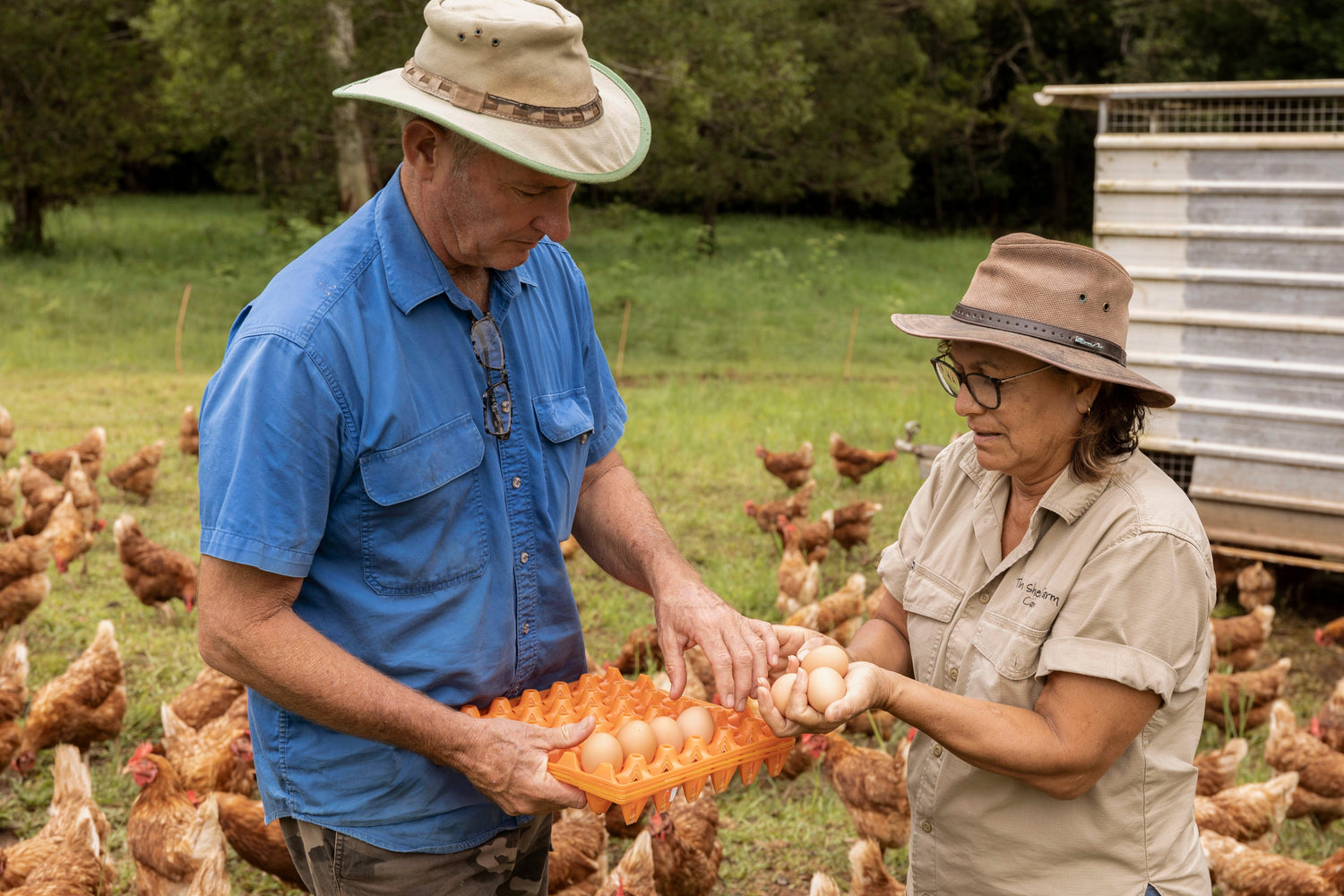 Pasture-Raised Eggs