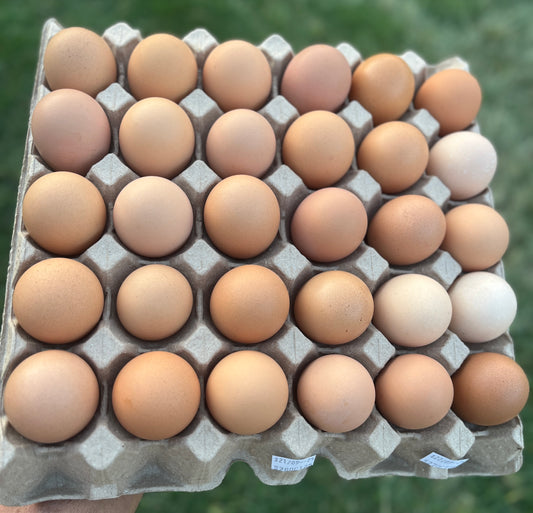 Pasture-Raised Eggs – 30 Pullet Eggs Tray