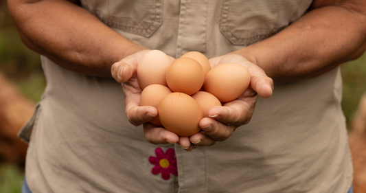 Pasture-Raised Eggs – Dozen