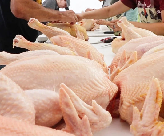 Chicken Processing Workshop – Hands-On Farm Experience